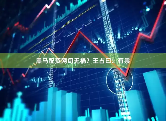 黑马配资网旬无祸？王占曰：有祟